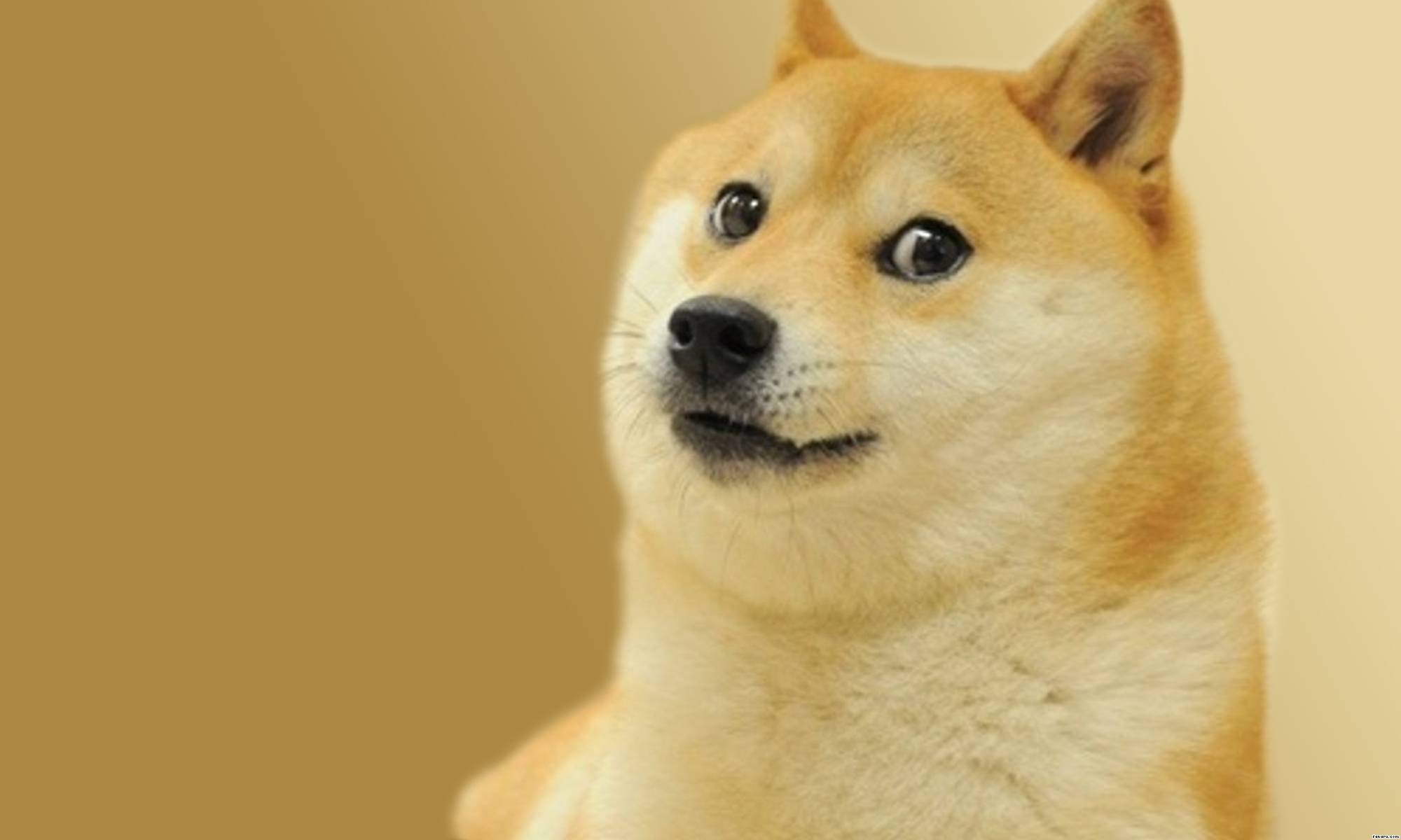 18360-doge-doge-simple.jpg
